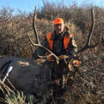 Colorado Elk Hunt With Guaranteed Tags Top End Adventures